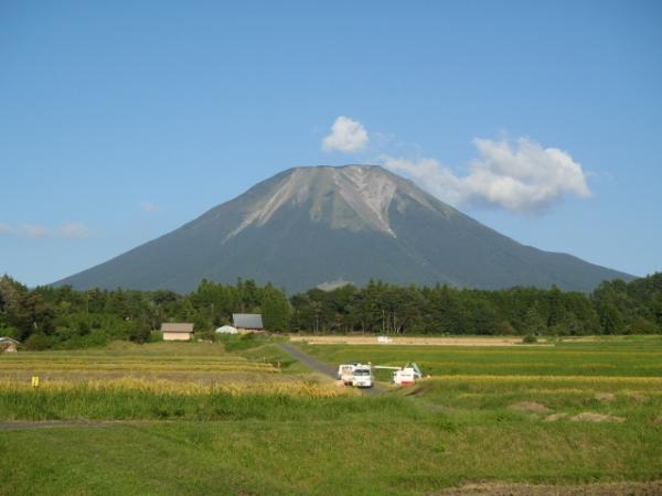 真作/東原方僊/伯耆富士/大山/秋景図/布袋屋掛軸HC-995 （大山